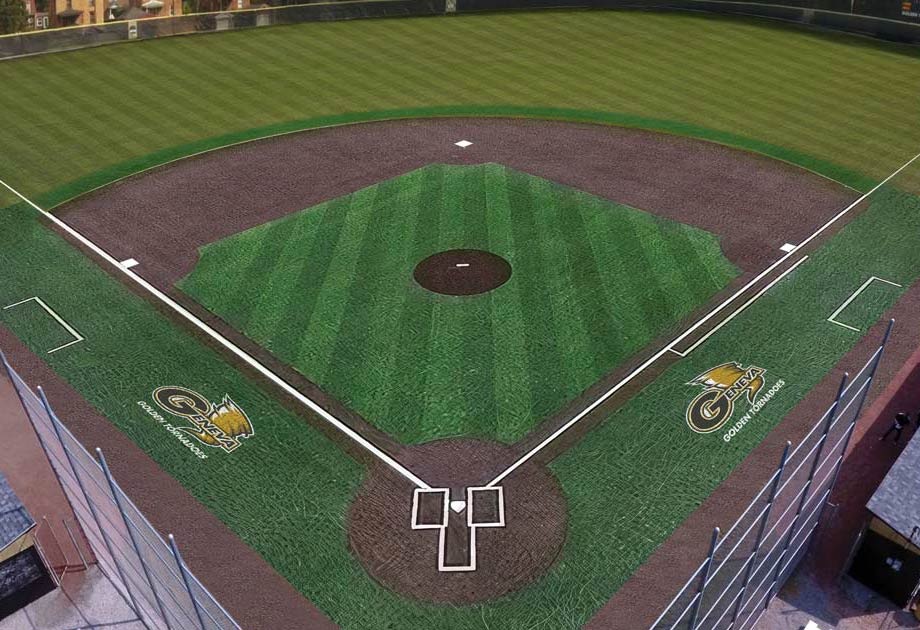 Rendering of the propose Infield Turf